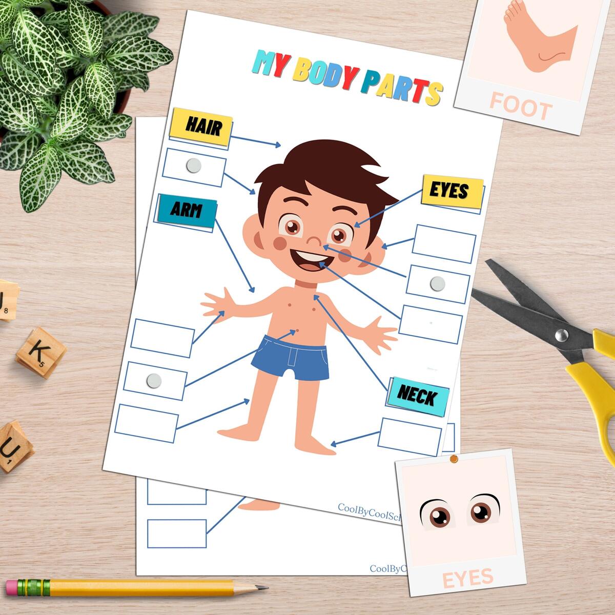 Body Parts Matching Game Montessori Homeschool Printable Activity PDF Download A4 Size Etsy