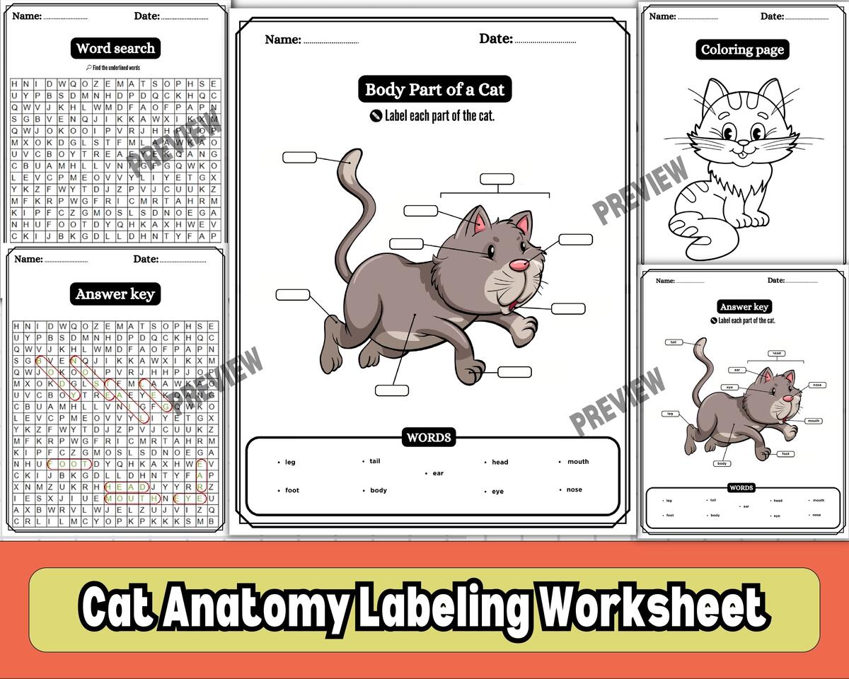 Body Parts Of A Cat Worksheet Labeling Activity Word Search Coloring KS1 Animal Science Teaching Resources Body Parts Of A Cat Worksheet Labeling Activity Word Search Coloring KS1 Animal Science Teaching Resources