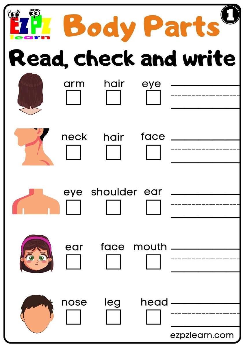 Checking Accounts 5 Day Unit Made By Teachers