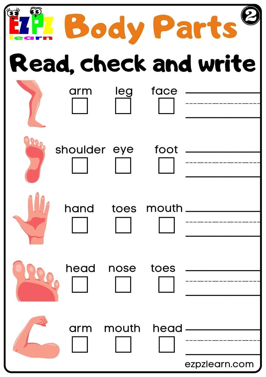 Body Parts Read Check And Write Worksheets For Kids And ESL PDF Download Set 2 Ezpzlearn