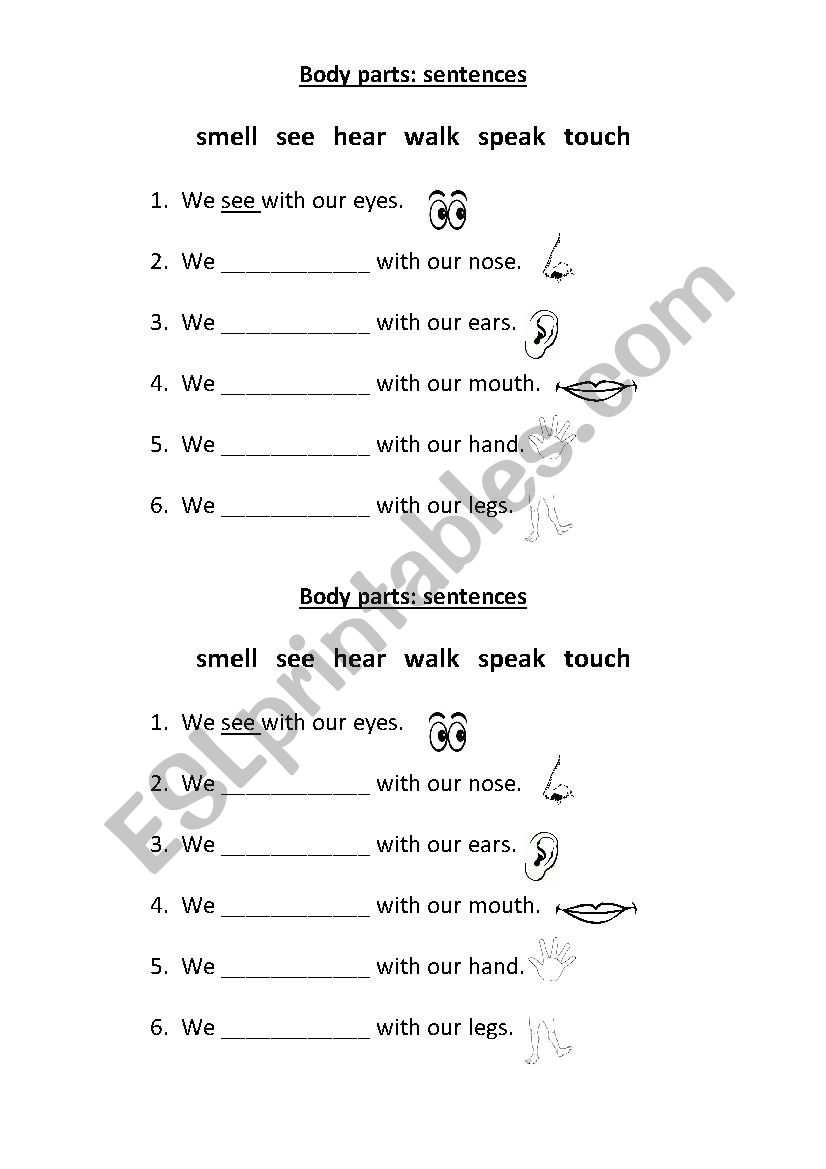 Body Parts Sentences ESL Worksheet By Sallygissy Worksheets Library