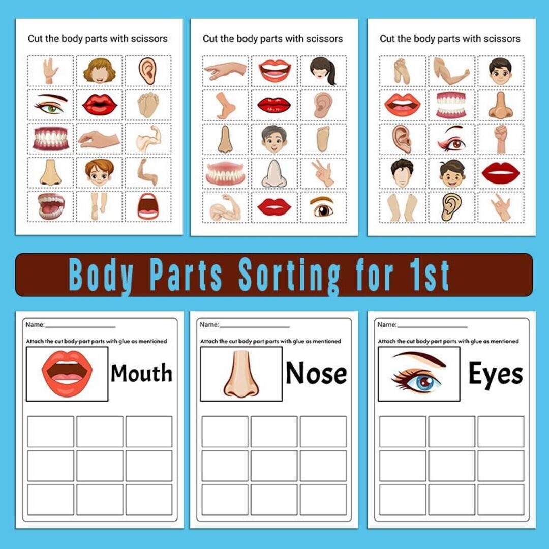 Human Body Organs Cutting Strips Fine Motor Skills Printable Scissor Practice For Anatomy Learning Ages 2 5 Etsy