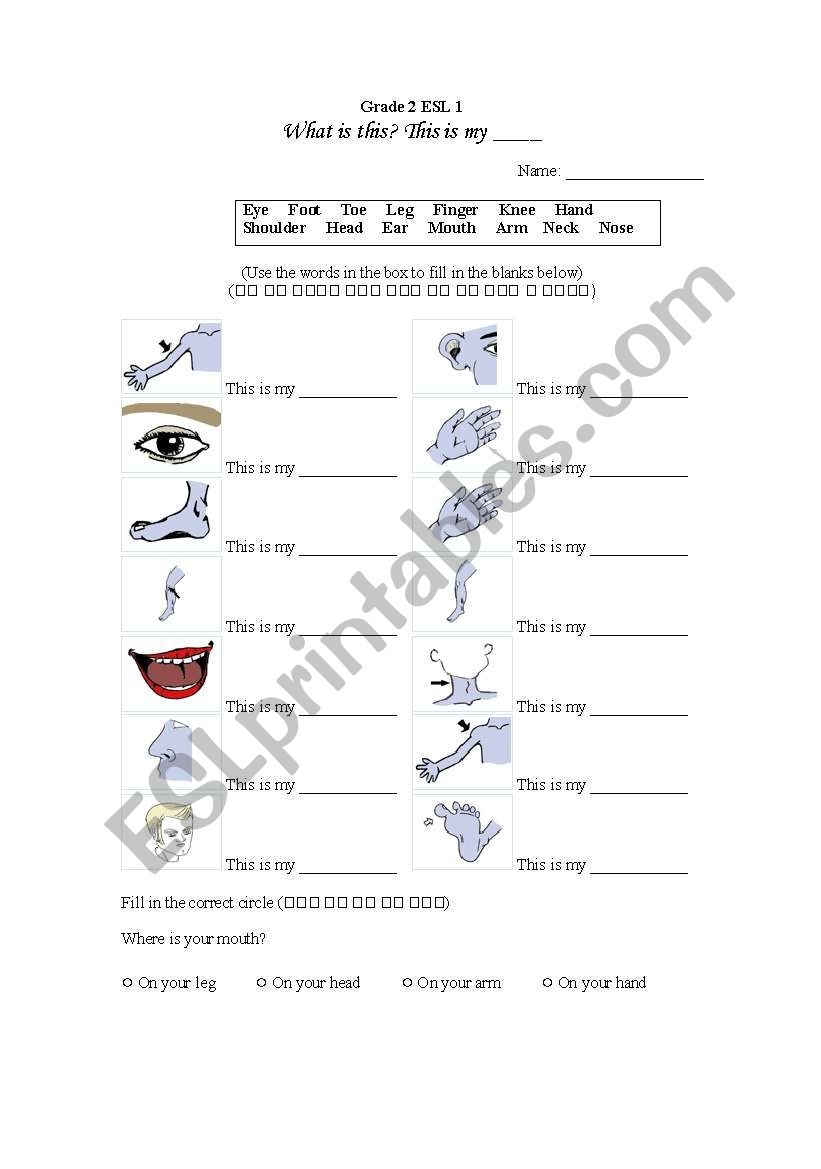 Body Parts Worksheet ESL Worksheet By Clef