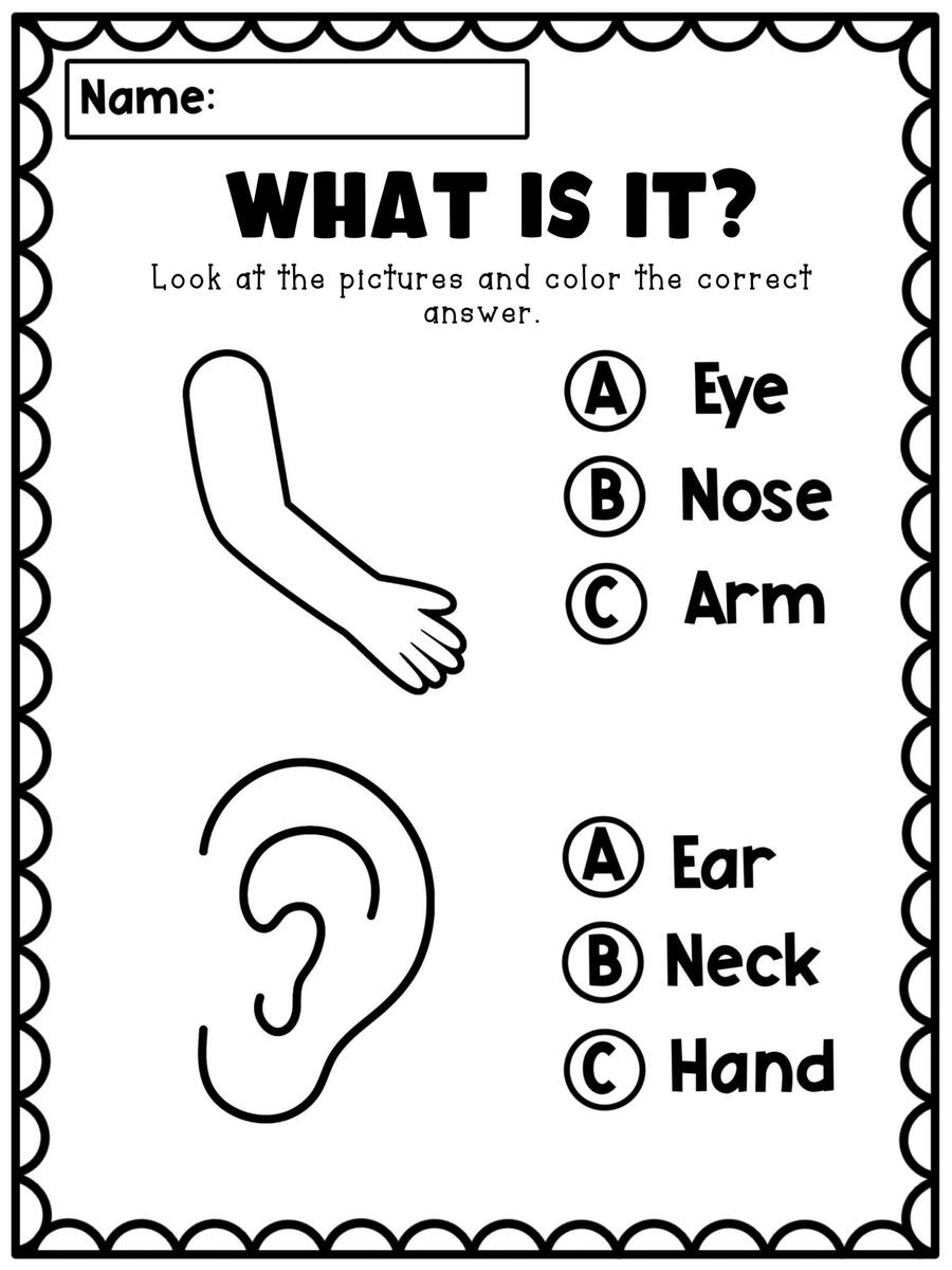 Body Parts Worksheets For Kids Made By Teachers