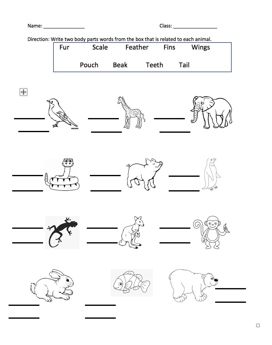 BusyTeacher Printable Body Parts Of Animals Activity Worksheets For Grade 2 3 4 Made By Teachers