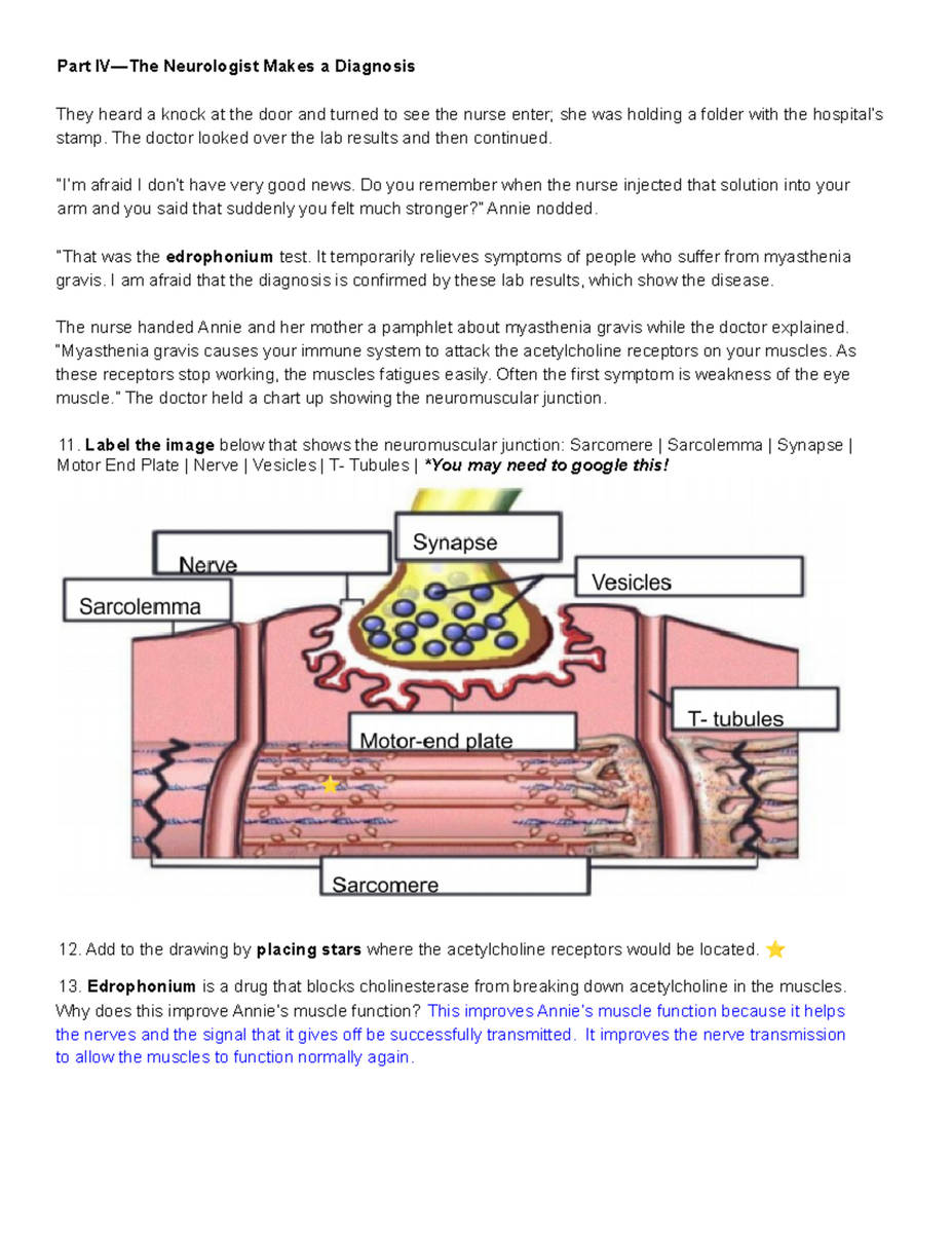 Case Study Diagnosis And Management Of Myasthenia Gravis Studocu