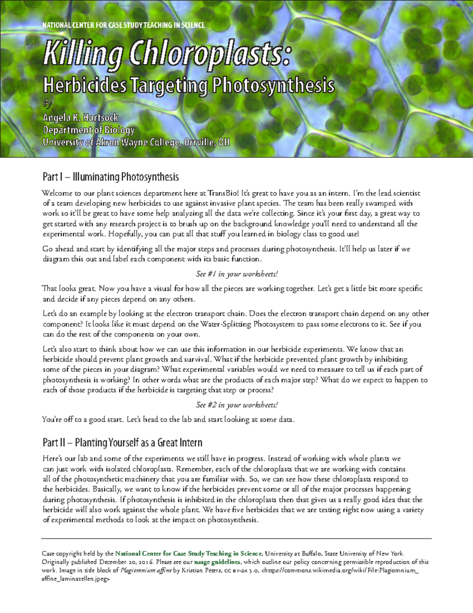 Case Study Killing Chloroplasts Herbicides Effect On Photosynthesis Studocu
