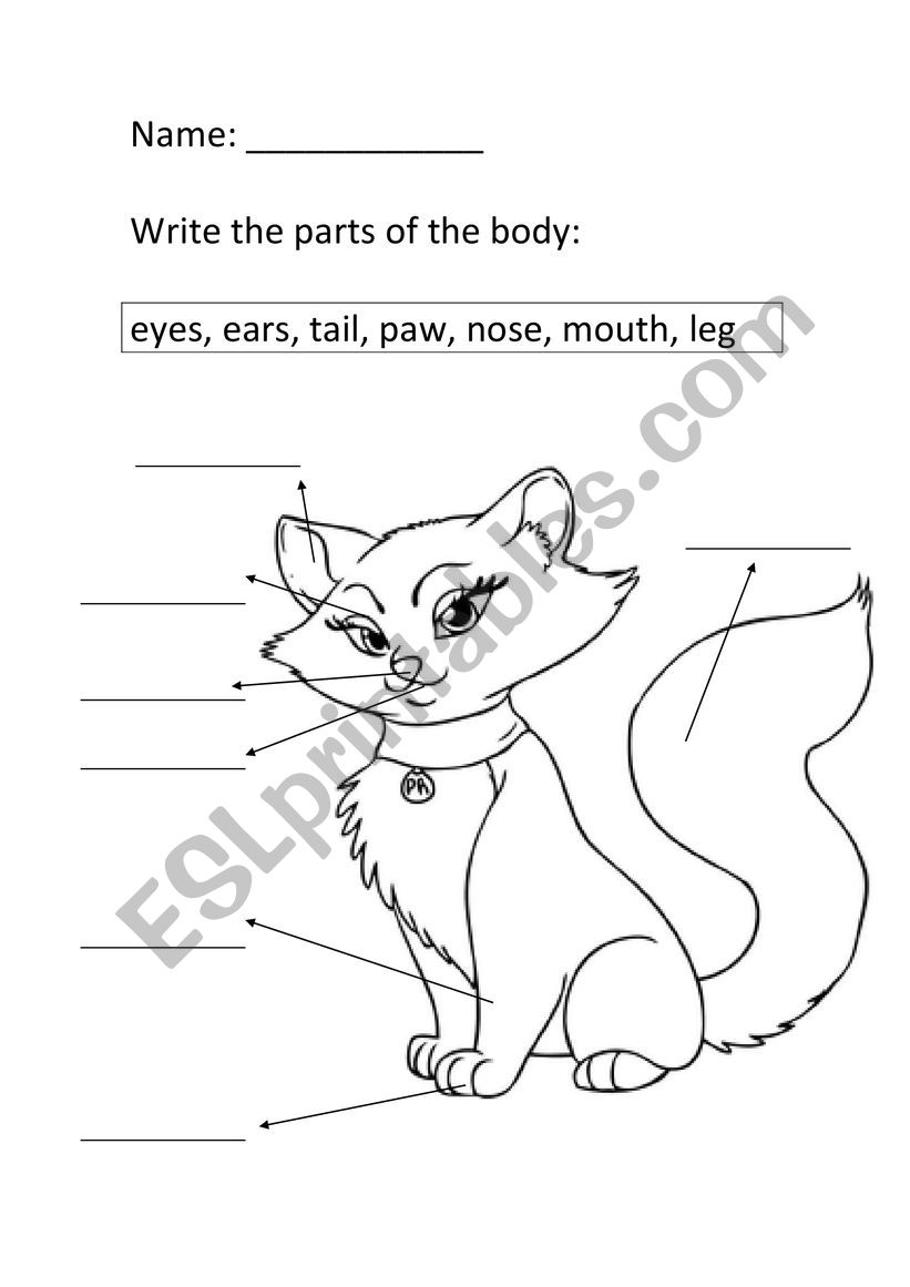 Cat Parts Of The Body ESL Worksheet By Scorpi1991 Mammal Body Parts Worksheet