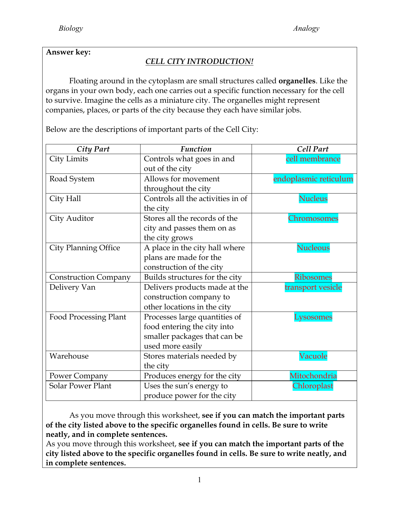 Cell City Analogy Worksheet Cell City Analogy Worksheet
