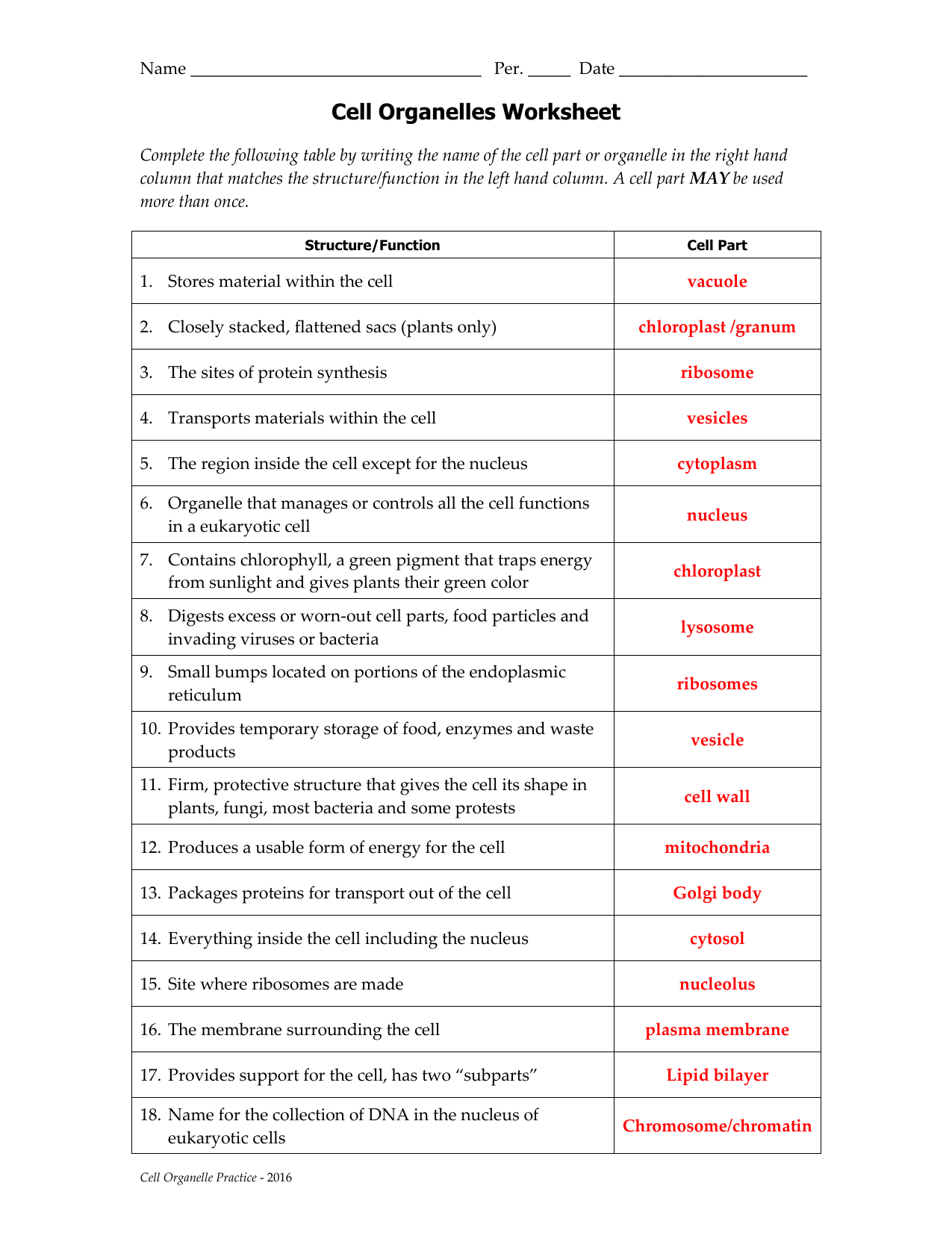 Cell Organelles Worksheet Structure Function