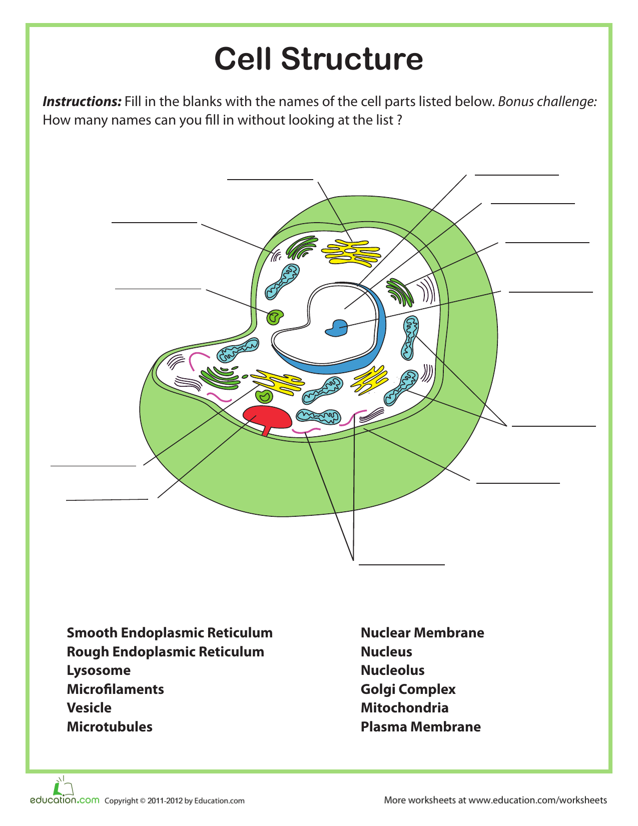 Animal Cell Diagram