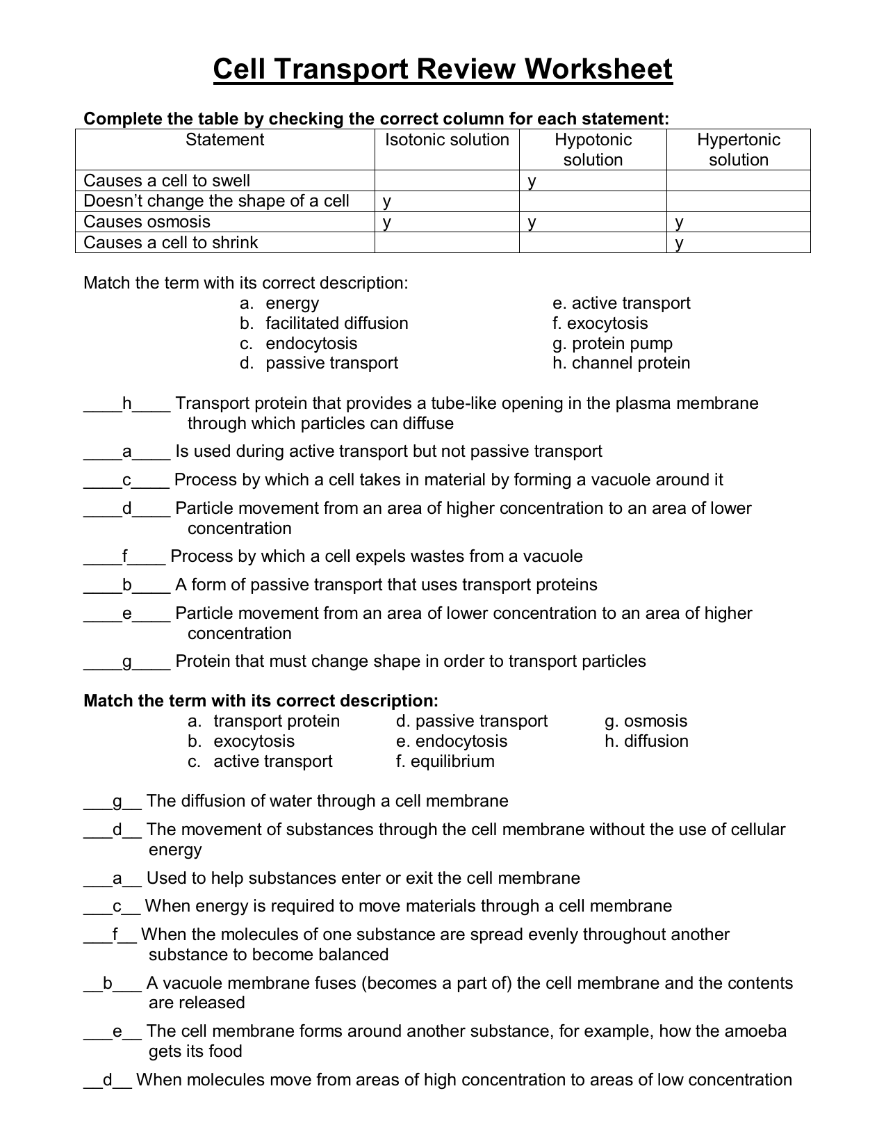 Cell Transport Review Worksheet Osmosis Solutions