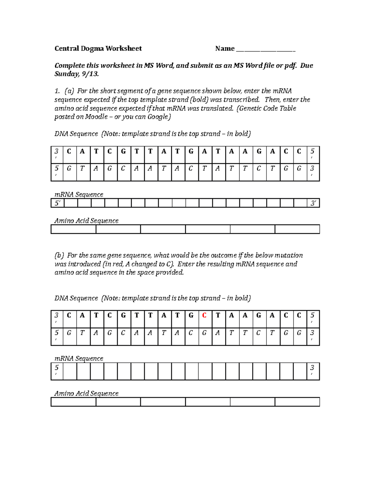 Central Dogma Worksheet Gene Expression Mutations Analysis Studocu
