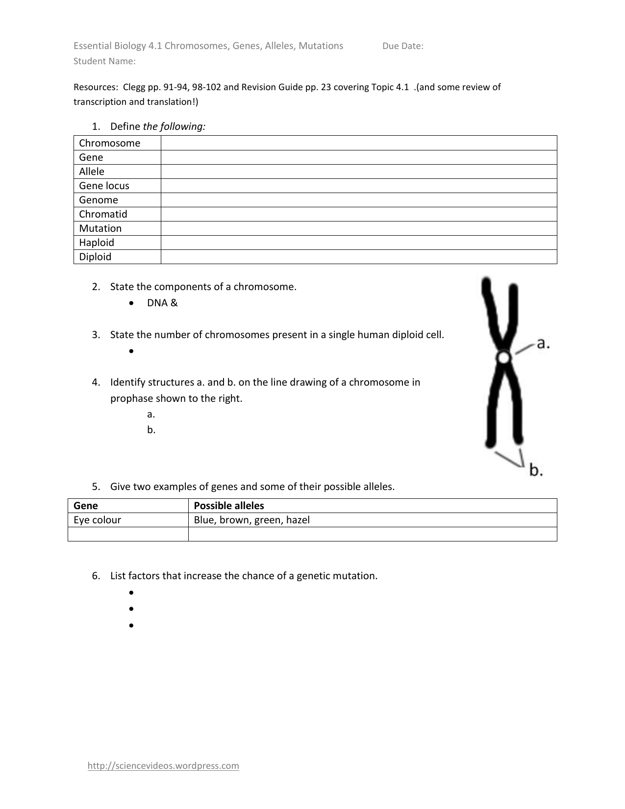 Chromosomes Genes Alleles Mutations Worksheet