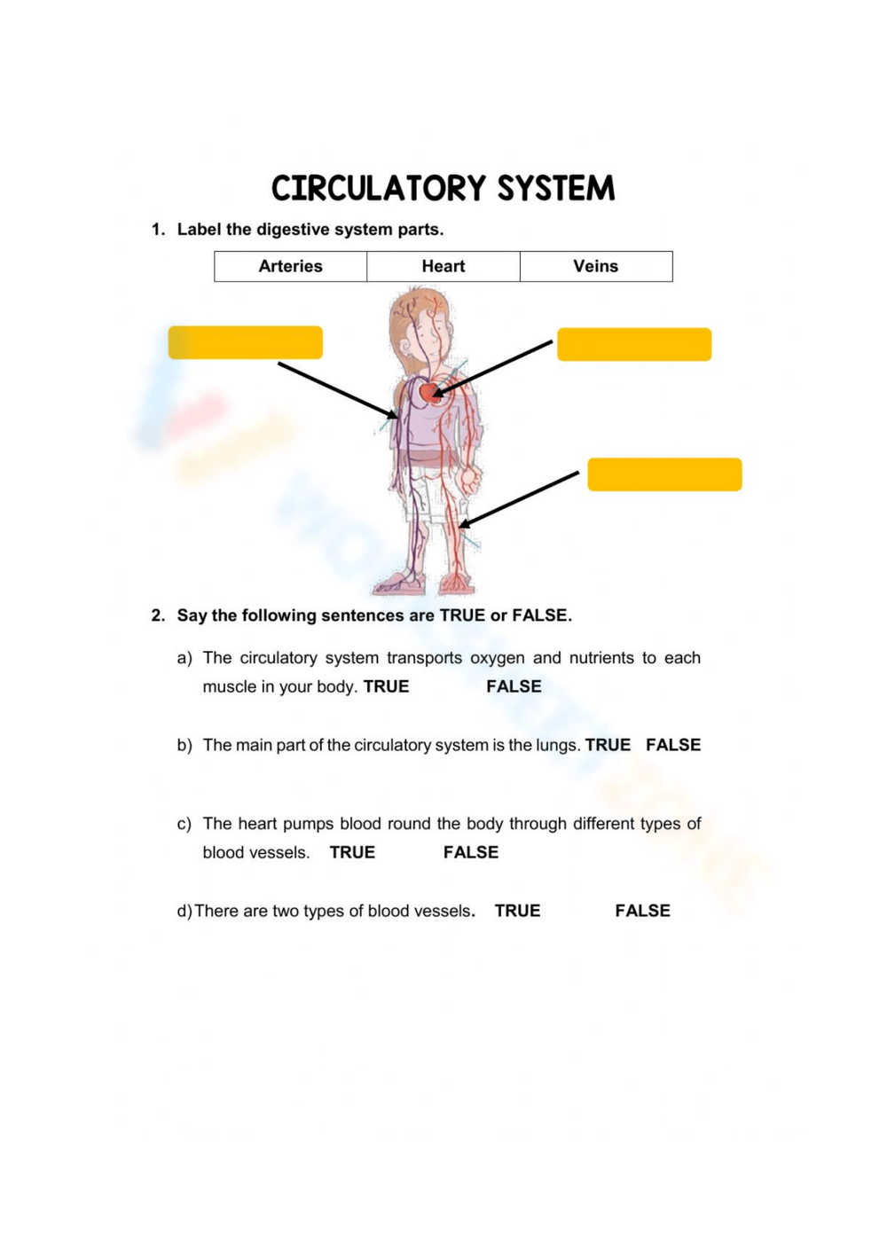 Circulatory System Worksheets Circulatory System Worksheets