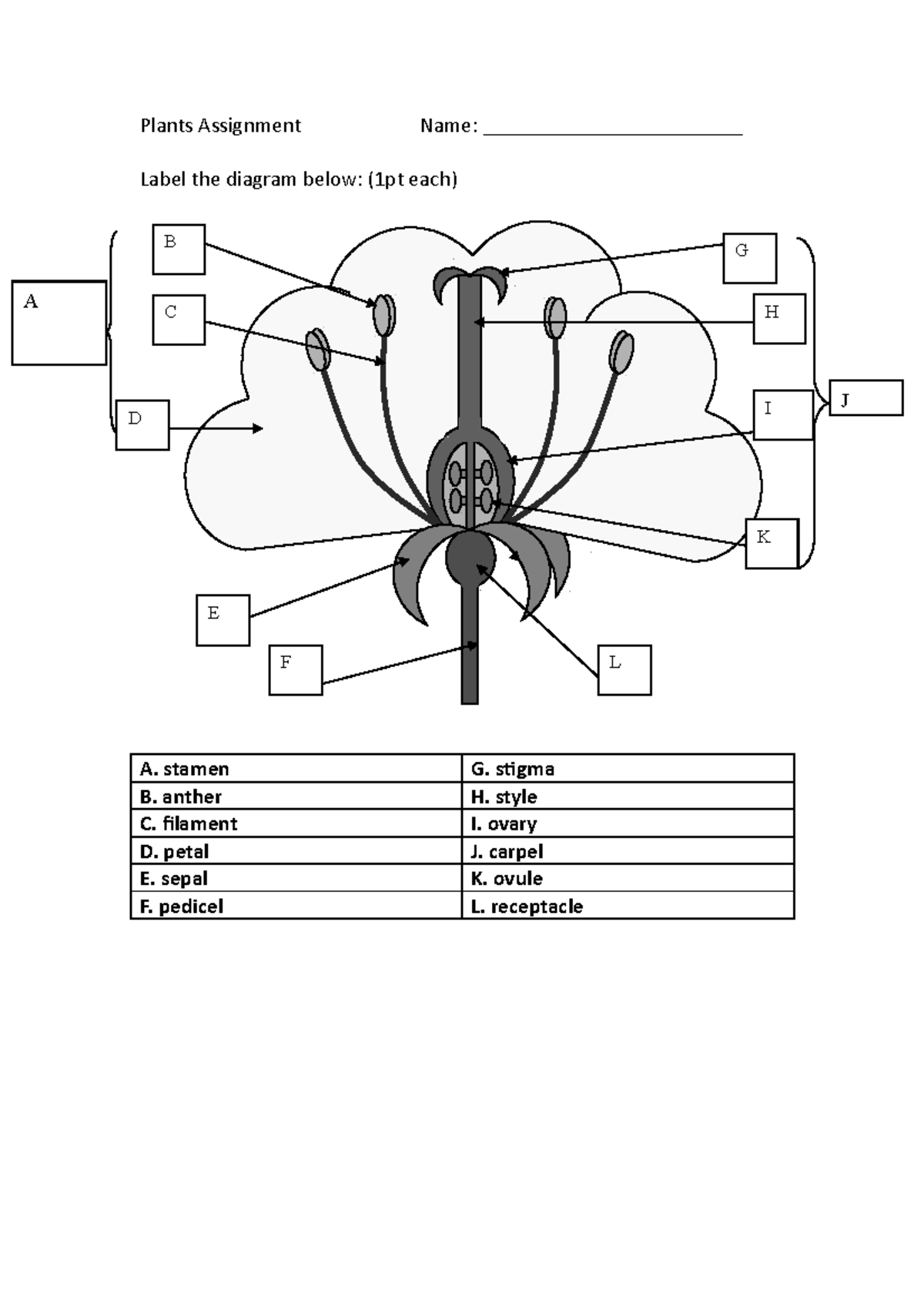 Cladogram HW 2 Analyzing Evolutionary Relationships Among Organisms Studocu Cladogram HW 2 Analyzing Evolutionary Relationships Among Organisms Studocu