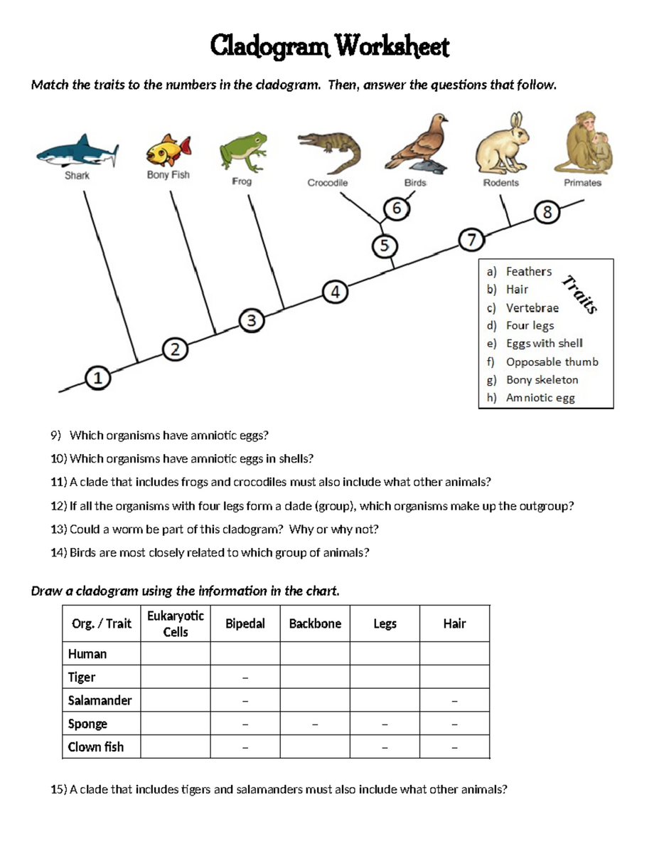 Cladogram Worksheet Analyzing Traits Phylogenetic Relationships Studocu Cladogram HW 2 Analyzing Evolutionary Relationships Among Organisms Studocu