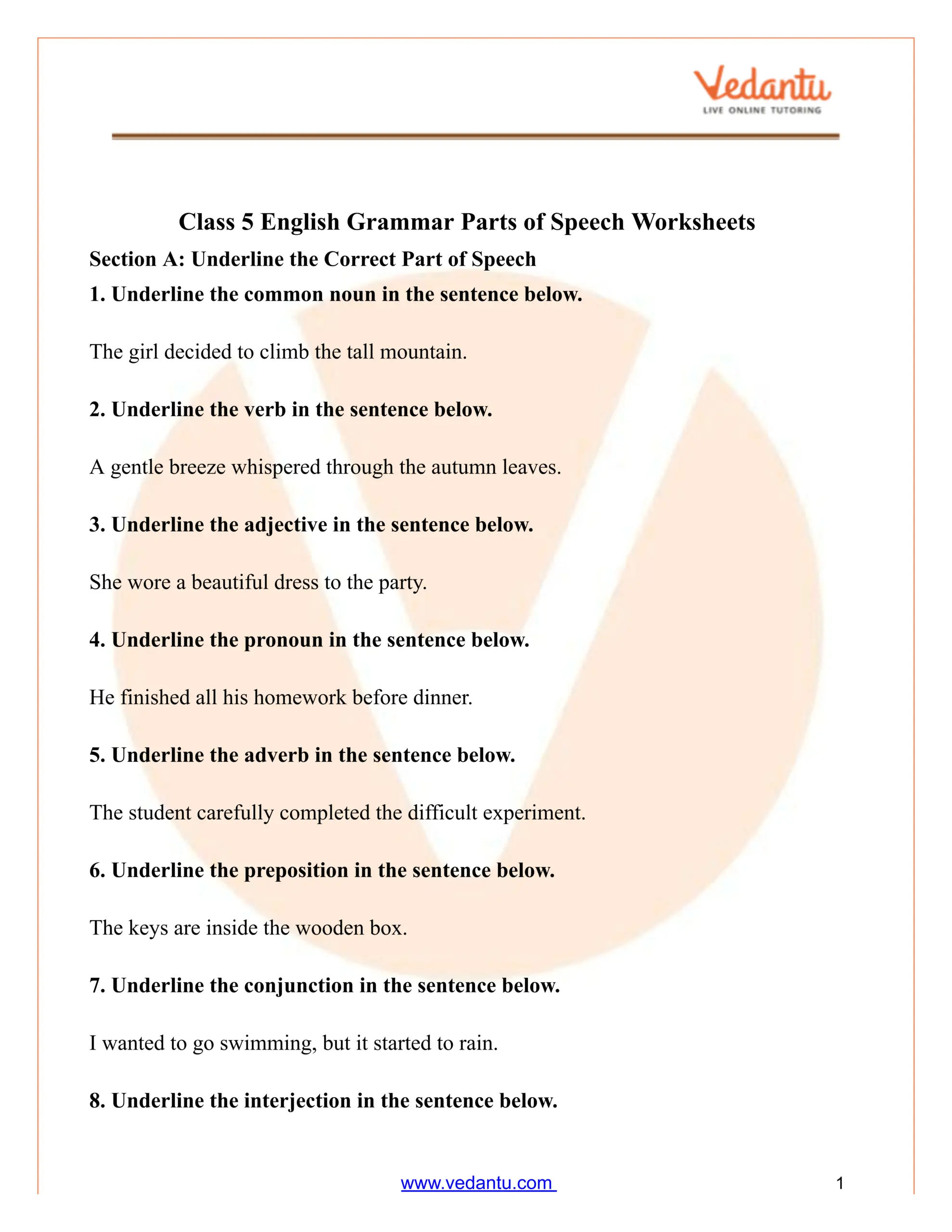 Class 5 English Grammar Parts Of Speech Worksheet PDF