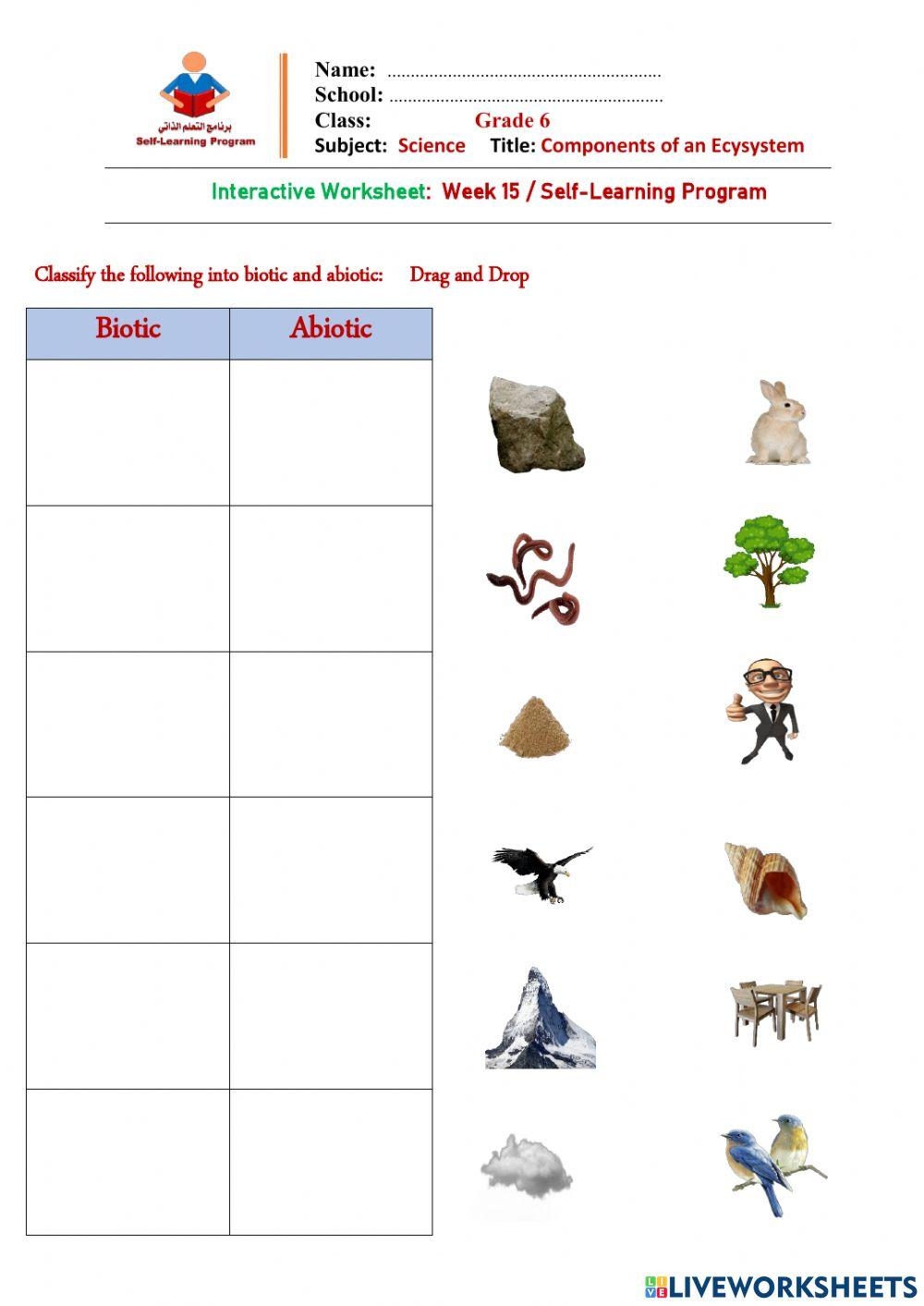 Components Of An Ecosystem Activity Worksheets Library