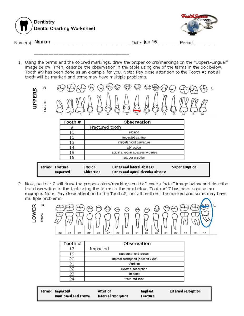 Dentistry 4ldss947wmhi Dental Charting Worksheet Notes Studocu