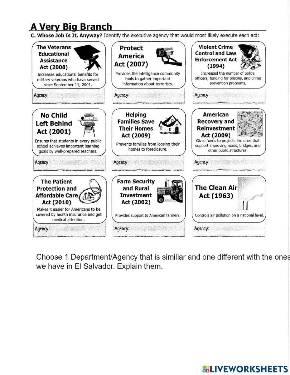 Departments agencies Of Executive Branch Worksheet Worksheets Library