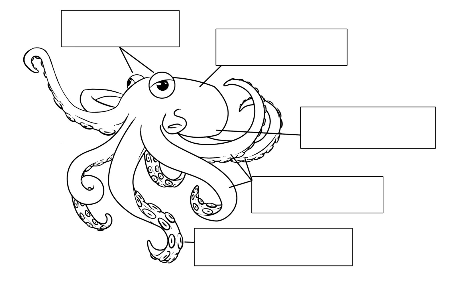 Design Works Other Stuff A Personal Portfolio Parts Of The Octopus Design Works Other Stuff A Personal Portfolio Parts Of The Octopus