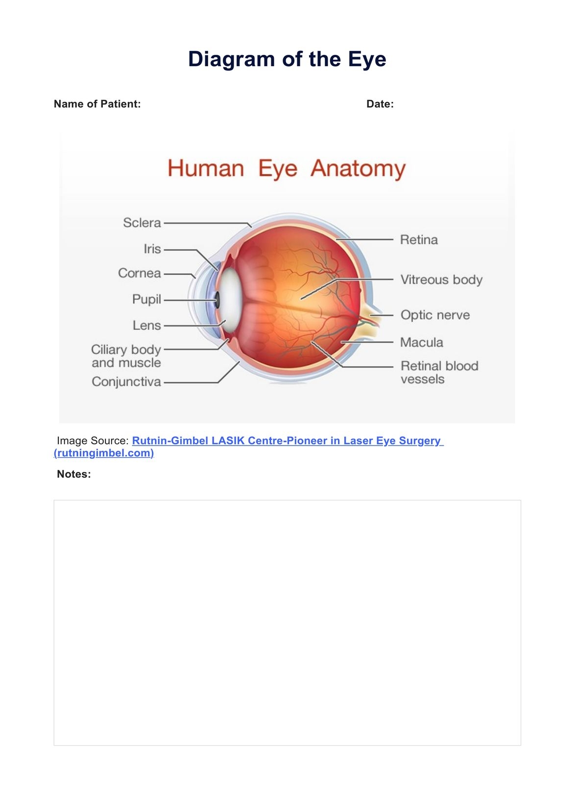 Diagram Of The Eye Diagram Of The Eye