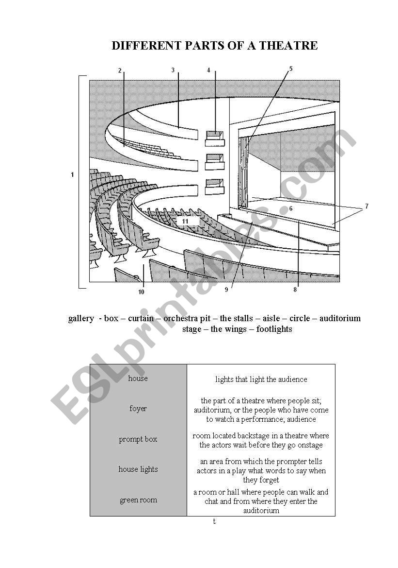 Different Parts In A Theatre ESL Worksheet By Olga Spb