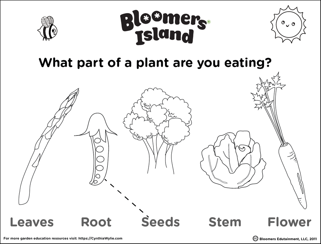 Plant Parts What Do We Eat ESL Worksheet By FionaVB