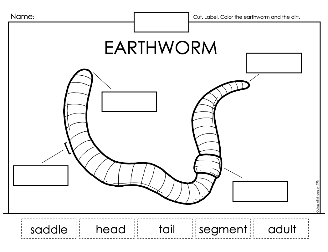 Earthworm Spring Science Label Sheet Kindergarten First Grade Worksheets Library Earthworm Spring Science Label Sheet Kindergarten First Grade Worksheets Library