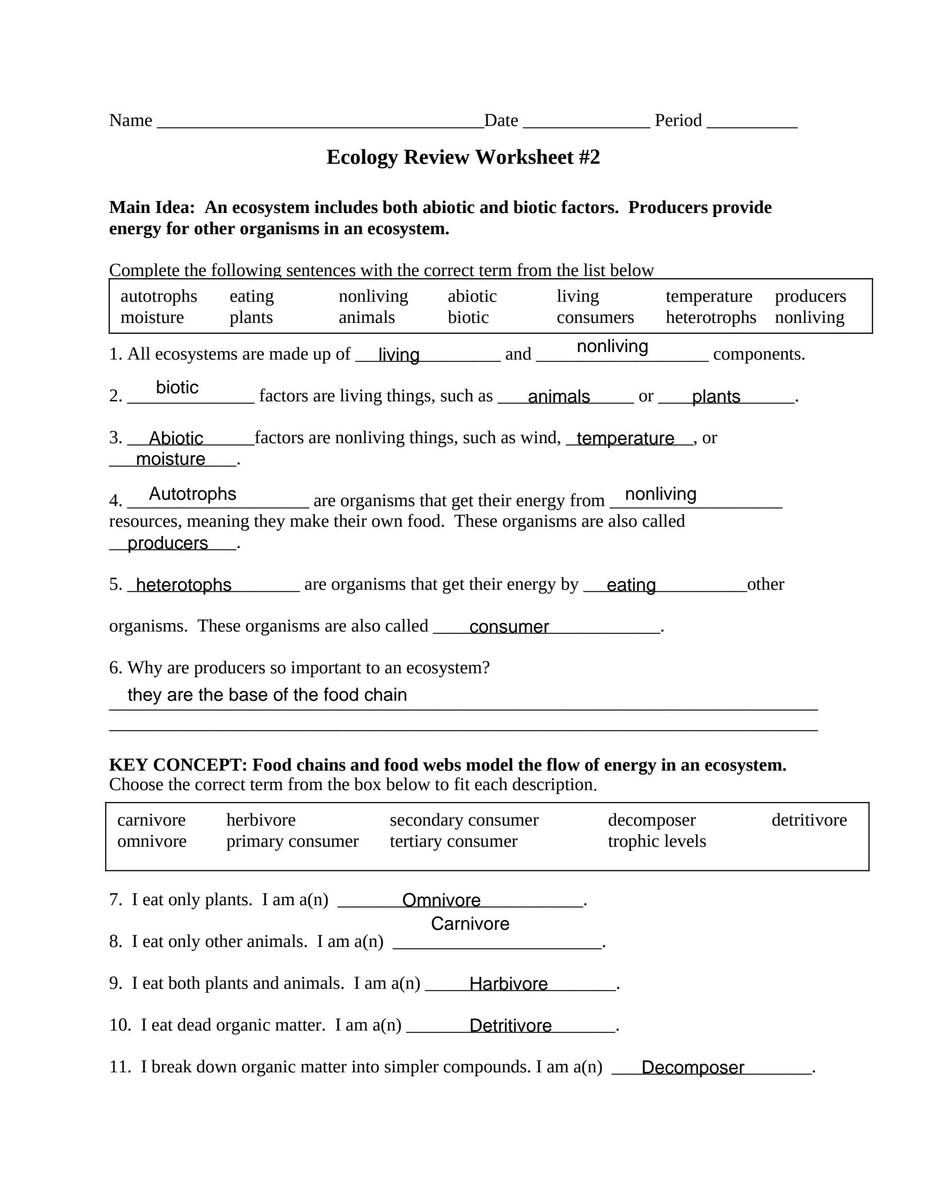 Ecosystem Review Worksheet Comprehensive Resource For Understanding Ecosystems