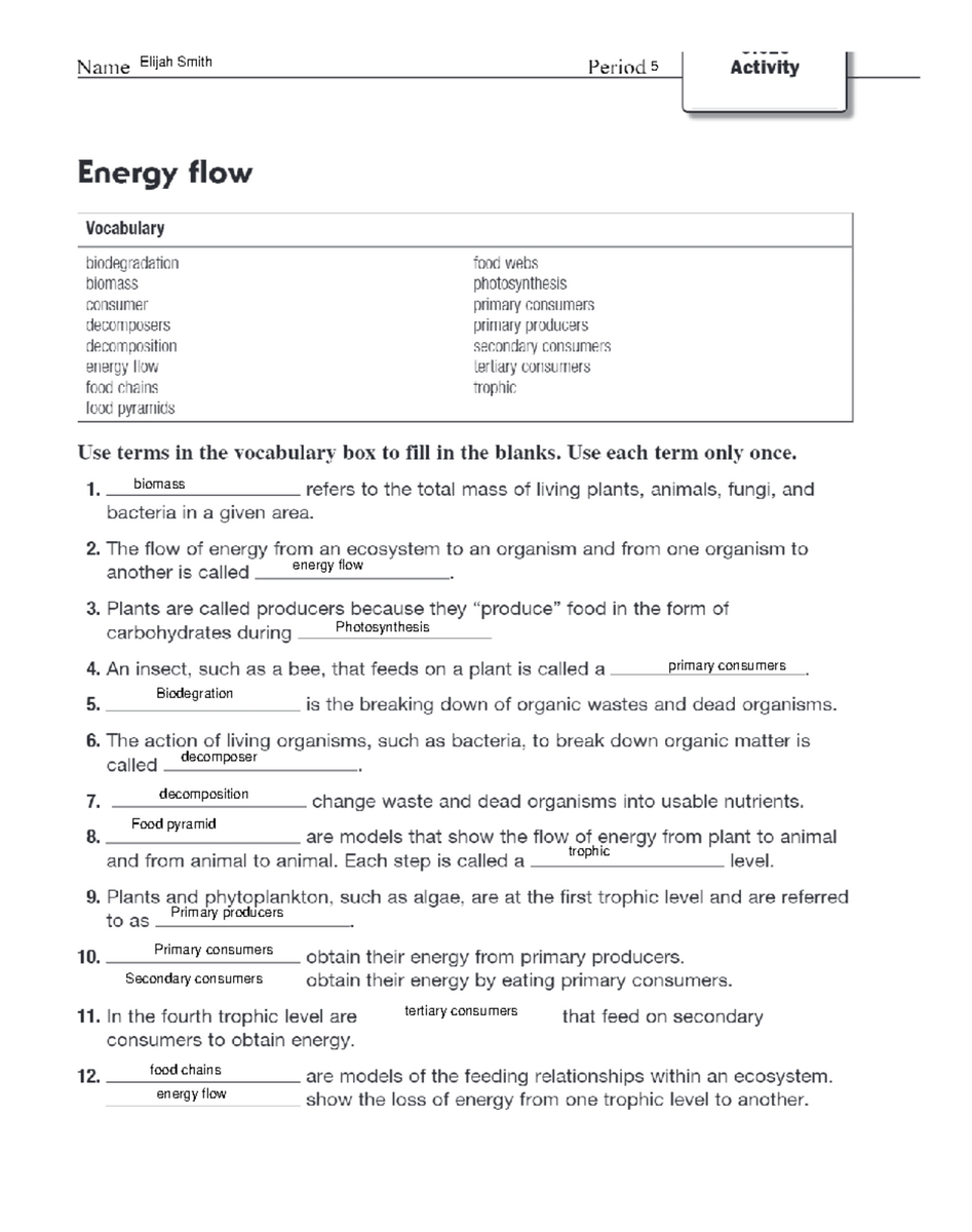Energy Flow In Ecosystems Reinforcement For 16 MHR Studocu Energy Flow In Ecosystems Reinforcement For 16 MHR Studocu