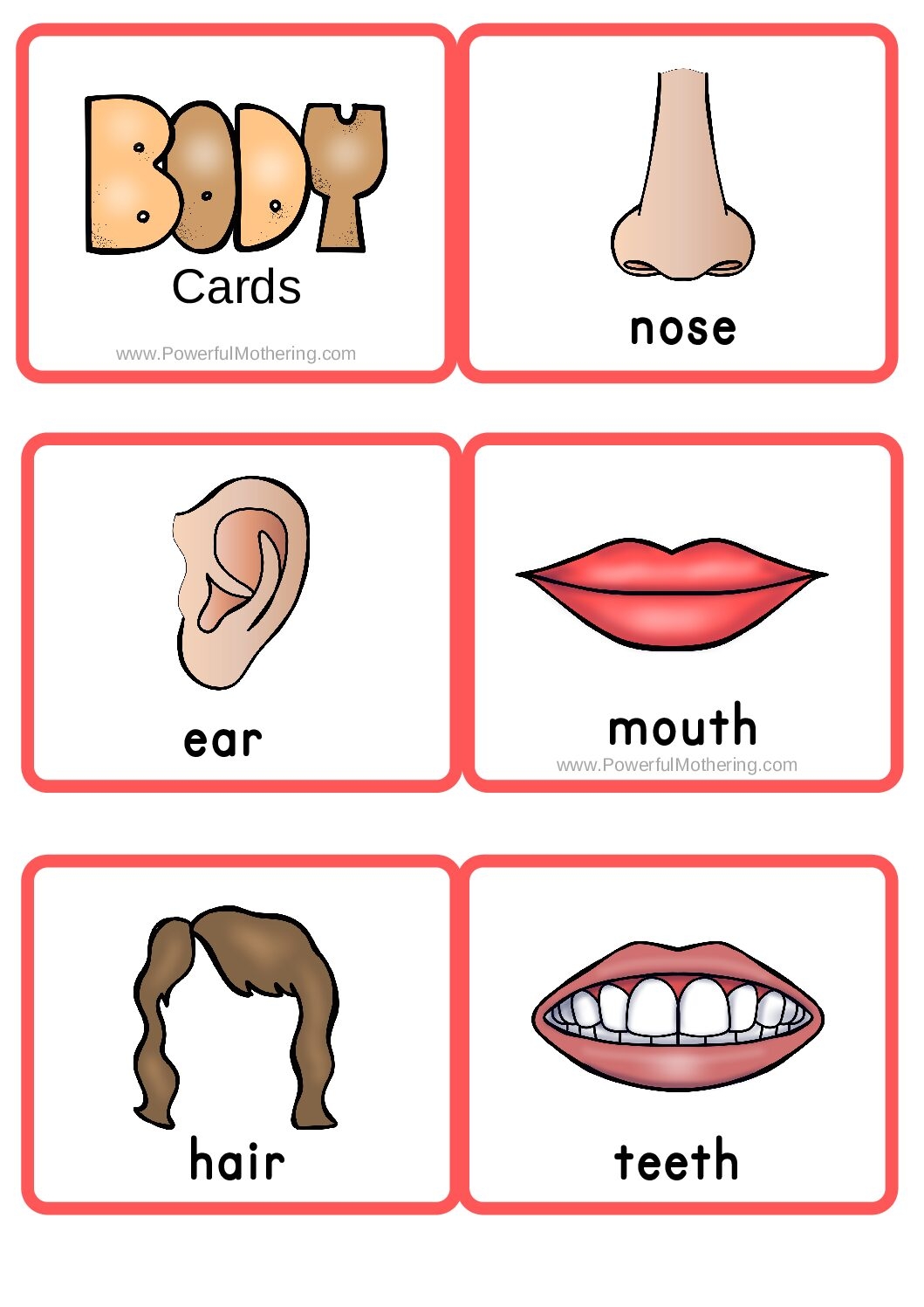 English ESL EFL Body Parts Cards Language Advisor