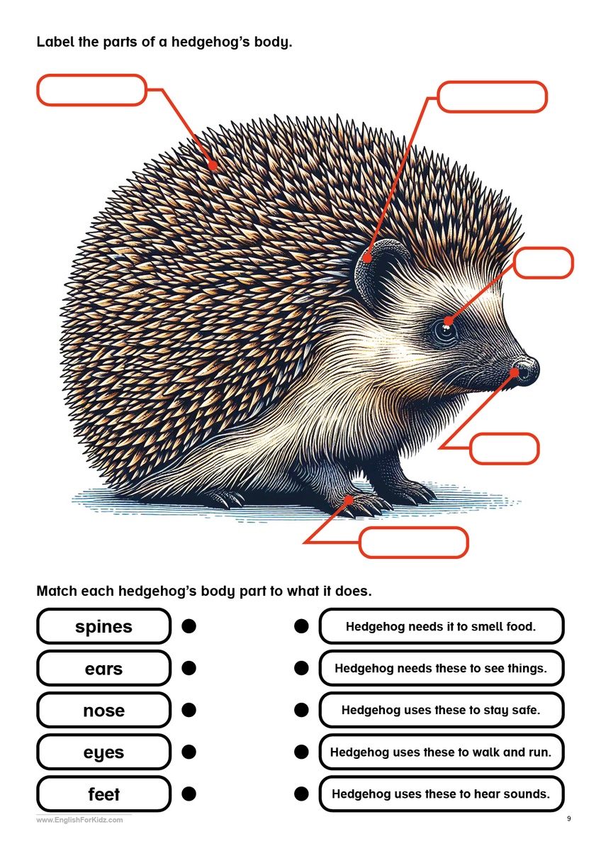 English For Kids Step By Step Reading Comprehension About Kindness And Friendship English For Kids Step By Step Reading Comprehension About Kindness And Friendship