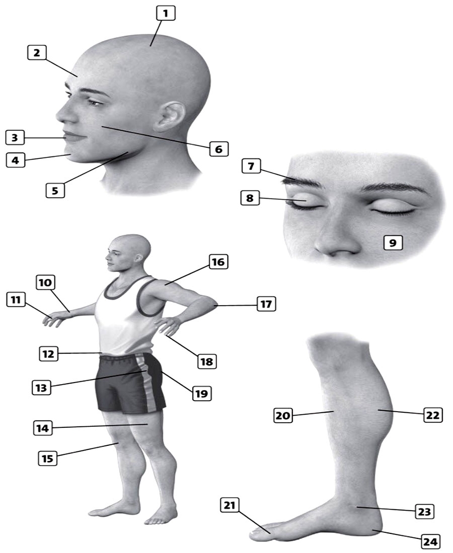 English Vocabulary Exercises For B1 Parts Of The Body English Practice Online