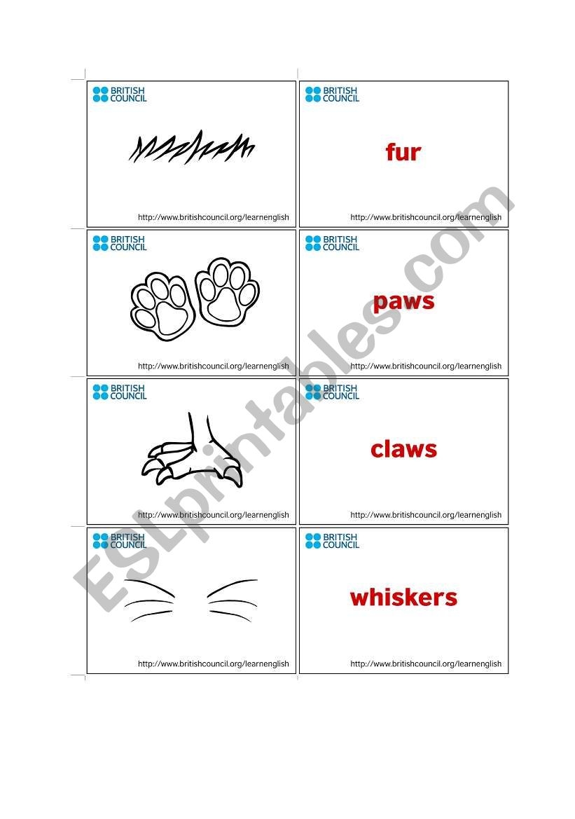 English Worksheets Body Parts