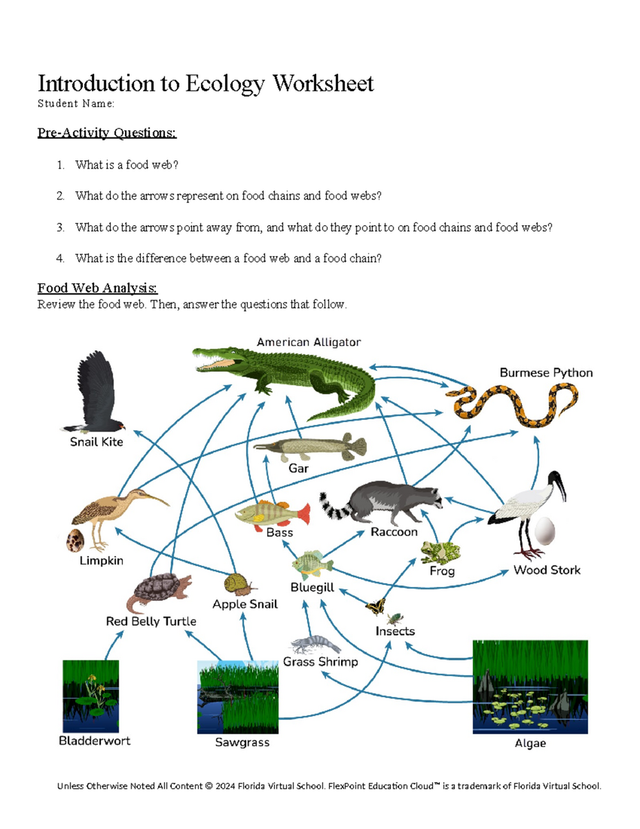 Epithelial Tissues Overview And Vocabulary Anatomy Worksheet Studocu Epithelial Tissues Overview And Vocabulary Anatomy Worksheet Studocu
