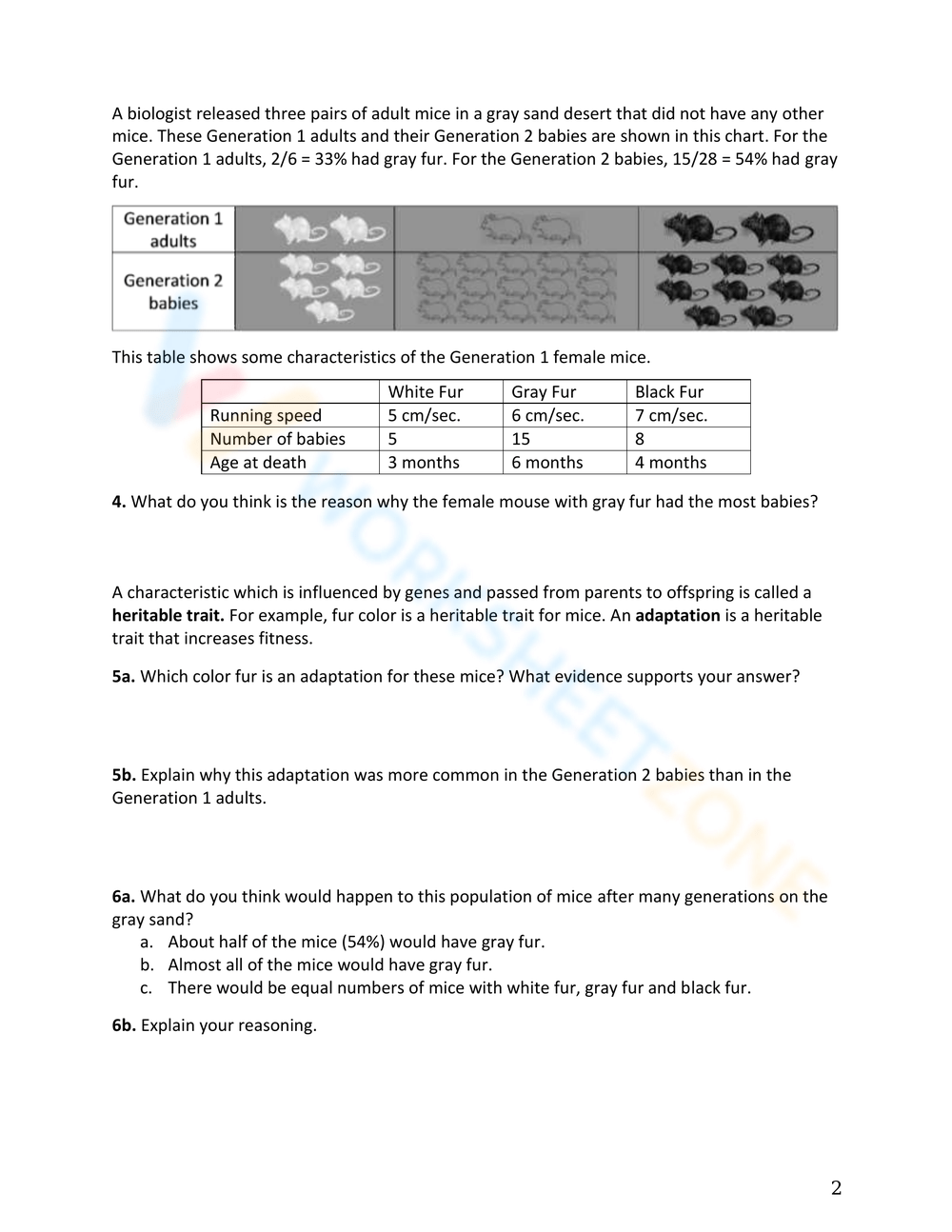 Evolution By Natural Selection Worksheet