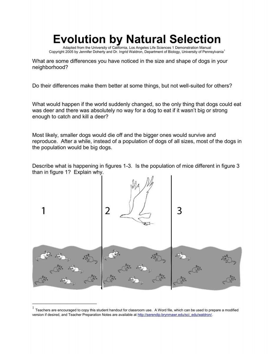 Evolution By Natural Selection Worksheet
