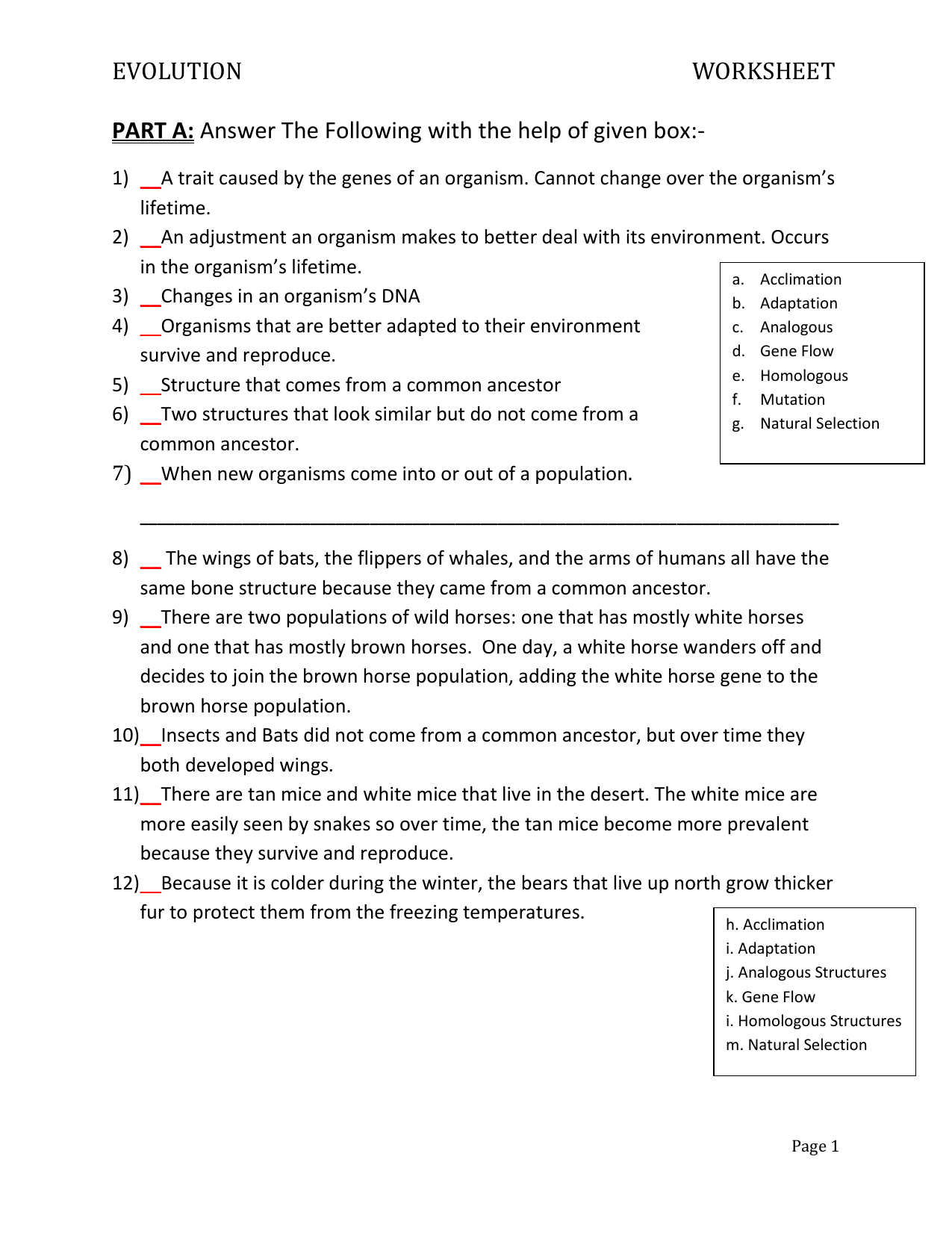 Evolution Worksheet Adaptation Natural Selection