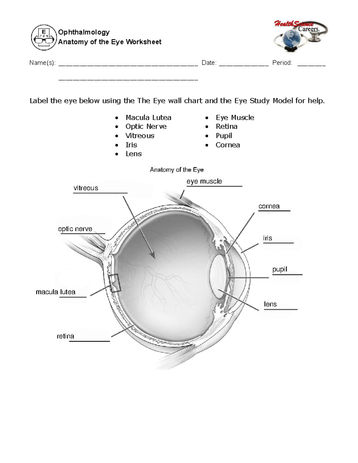 Eye Anatomy Chart ME1160 Name S Date Studocu