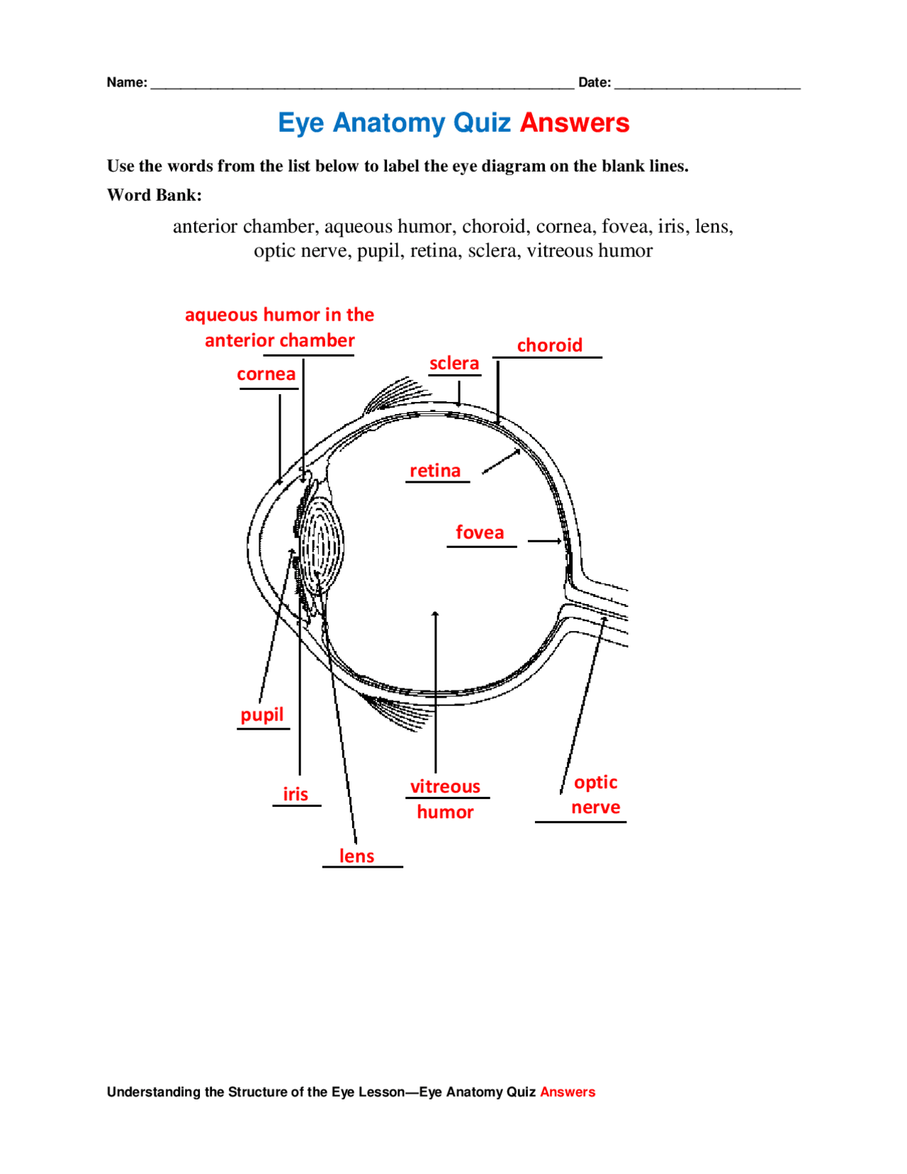 Eye Anatomy Quiz Answers Pdf Slides Anatomy Docsity