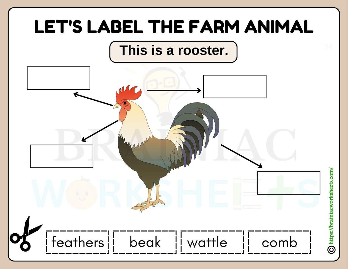 Farm Animal Rooster Labeling Science Worksheet For Class 1 Brainiac Worksheets