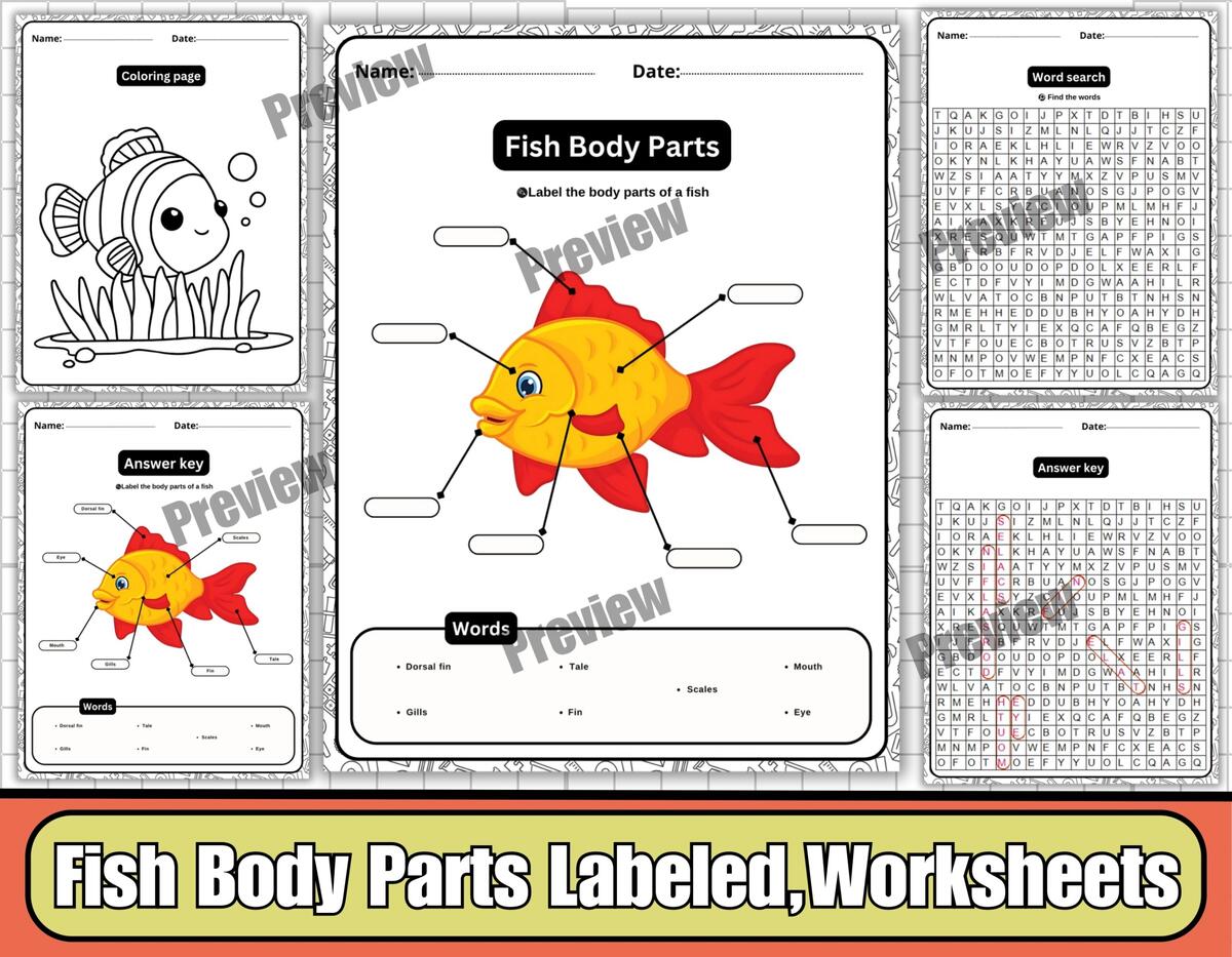 Fish Body Parts Labeled Diagram Worksheets Word Search Coloring Ocean Science Activity For Kids Teaching Resources Fish Body Parts Labeled Diagram Worksheets Word Search Coloring Ocean Science Activity For Kids Teaching Resources