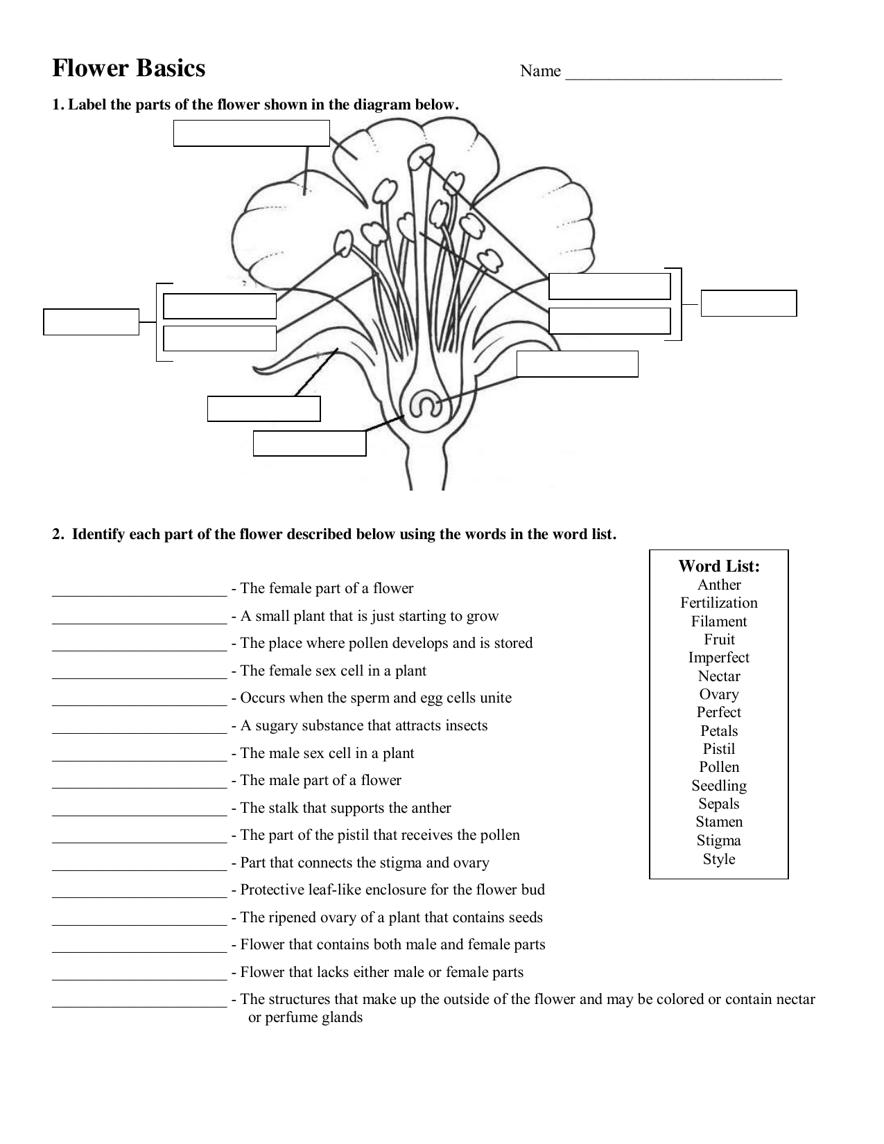 Flower Anatomy Pollination Worksheet Flower Anatomy Pollination Worksheet