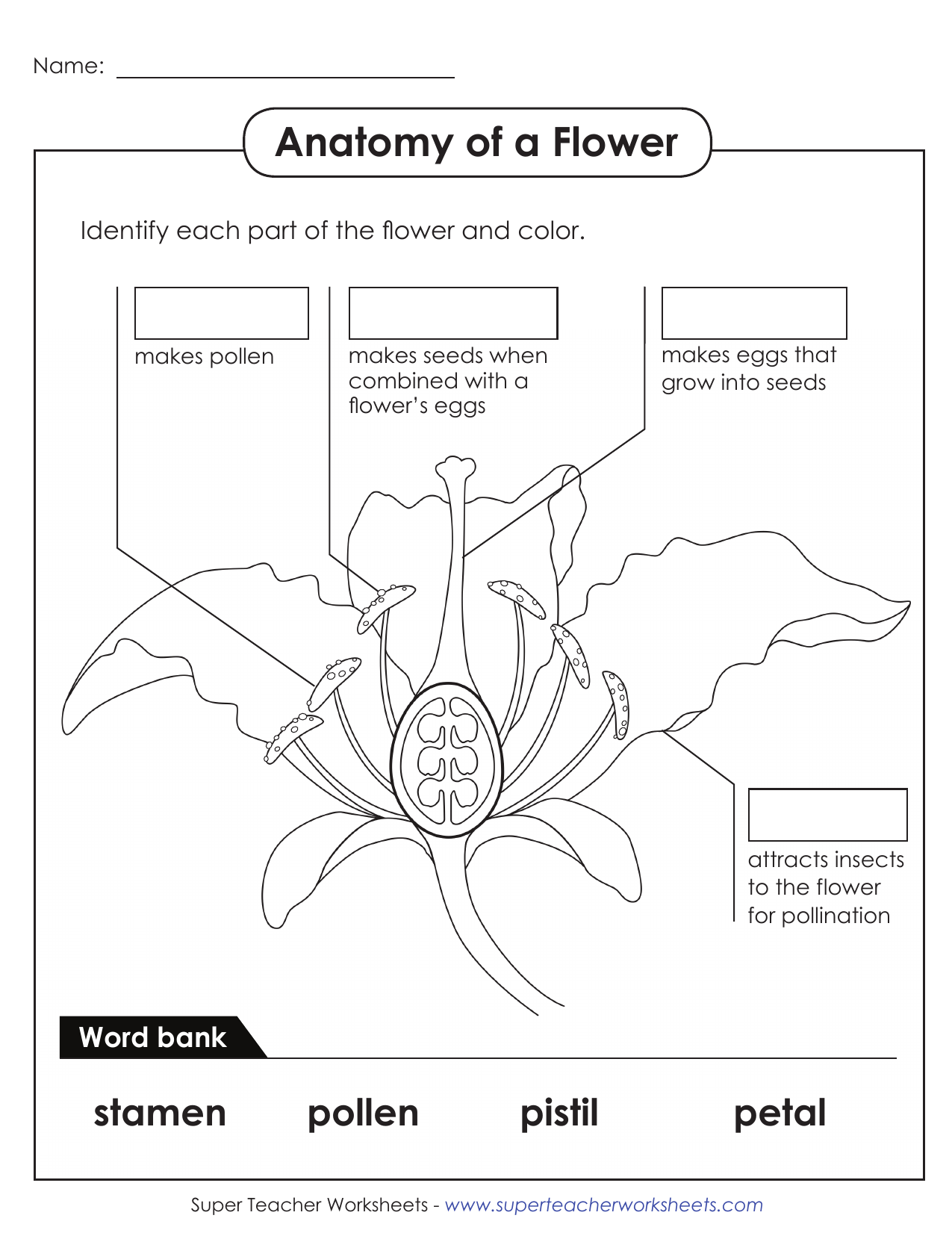 Flower Anatomy Worksheet Label The Parts Flower Anatomy Worksheet Label The Parts