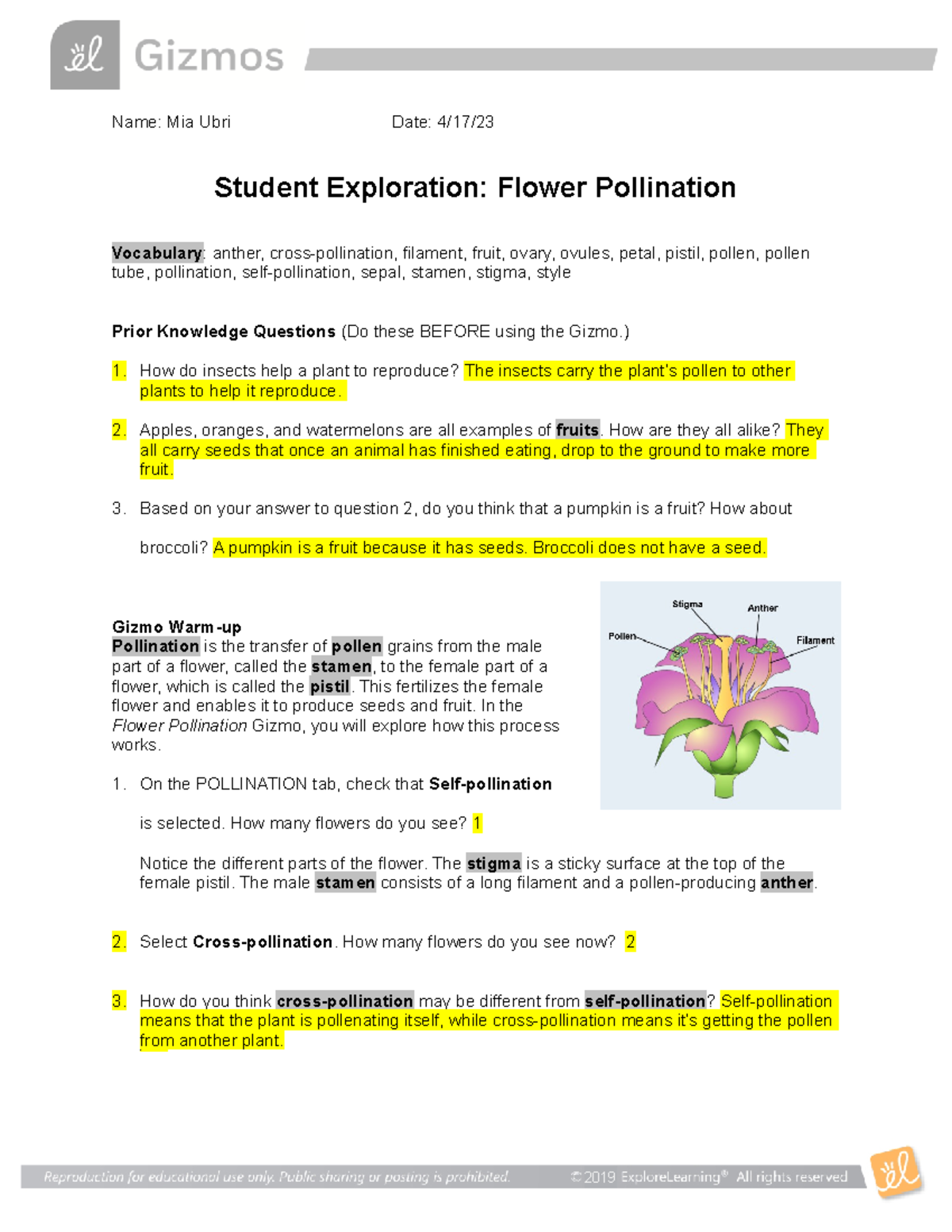 Flower Pollination Student Exploration Gizmo Activity Guide Studocu Flower Pollination Student Exploration Gizmo Activity Guide Studocu