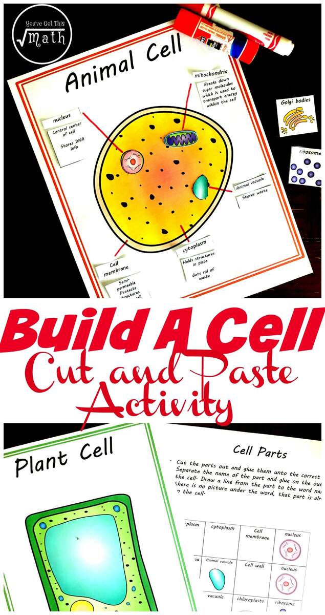 Free Cut And Paste Animal And Plant Cell Worksheet Comparing Cells Free Cut And Paste Animal And Plant Cell Worksheet Comparing Cells