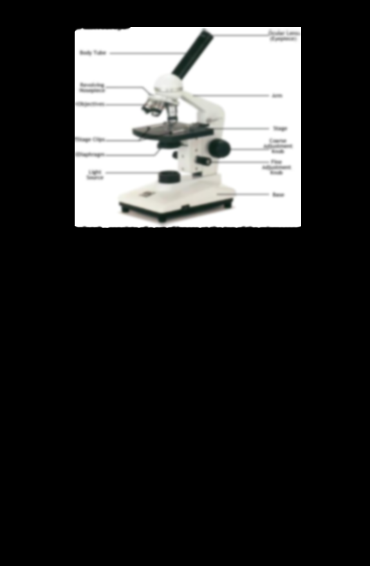 Free Microscope Parts And Functions Worksheet Download Free Microscope Parts And Functions Worksheet Png Images Free Worksheets On Clipart Library Free Microscope Parts And Functions Worksheet Download Free Microscope Parts And Functions Worksheet Png Images Free Worksheets On Clipart Library