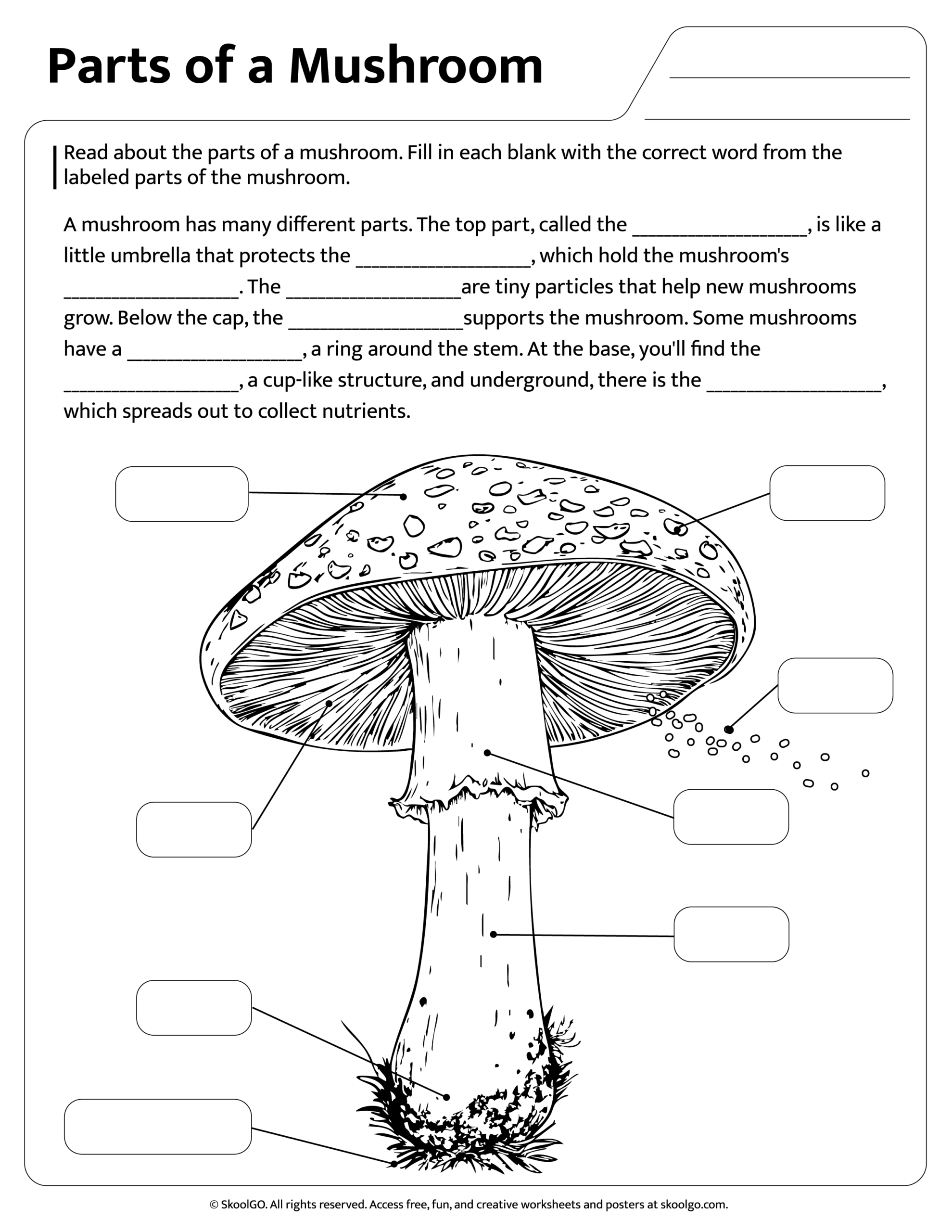 Free Mushroom Parts Worksheet Fun Educational For Kids